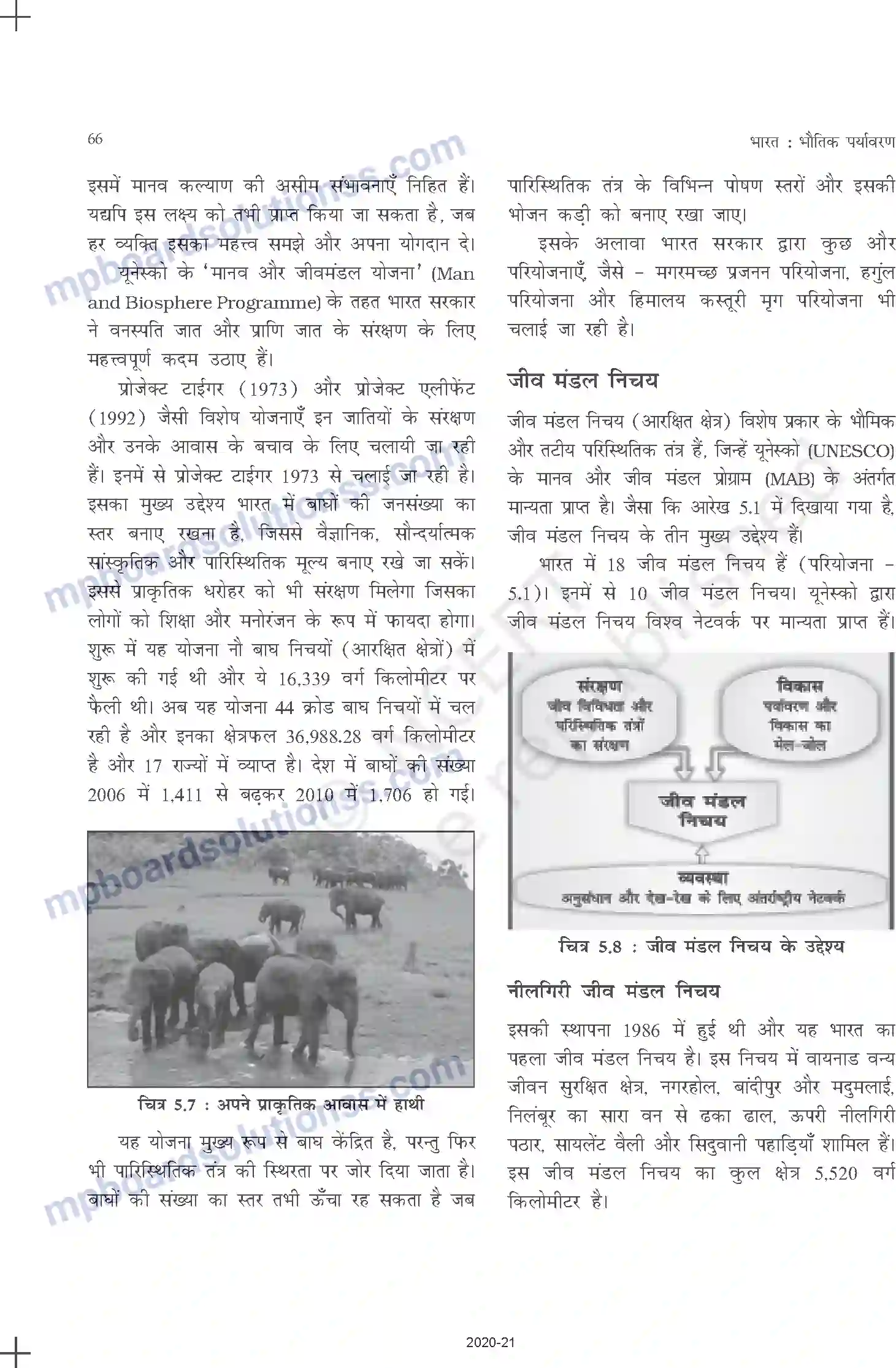 MP Board Book for Class 11 Geography प्राकृतिक वनस्पति Image 8