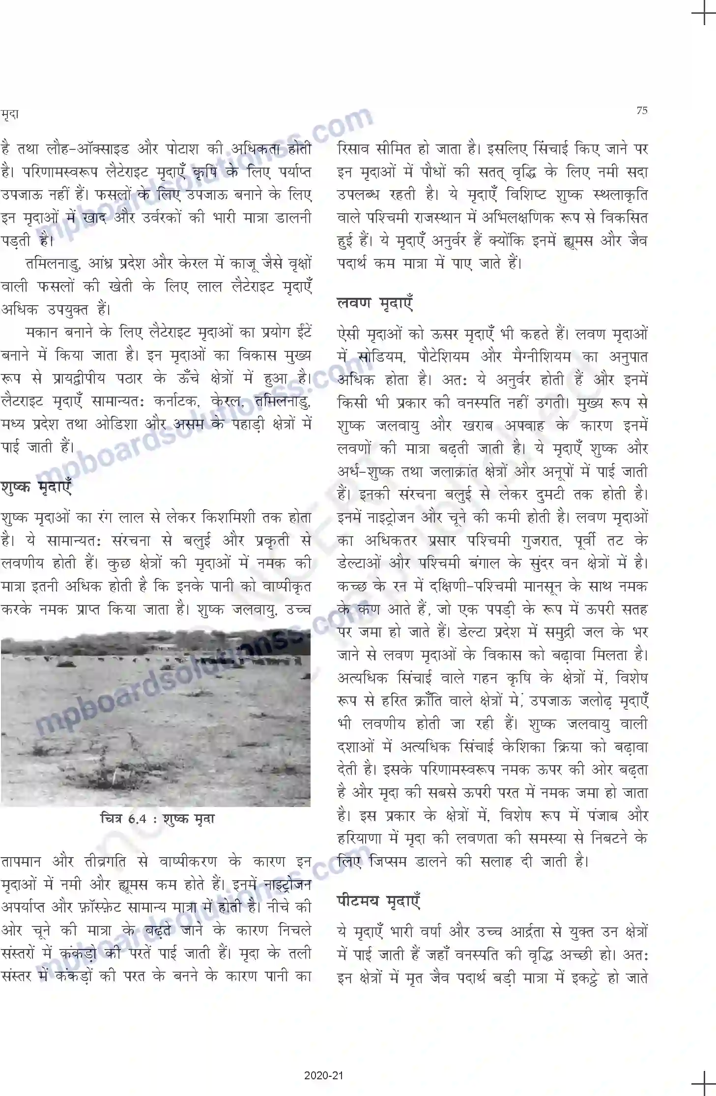 MP Board Book for Class 11 Geography मृदा Image 5