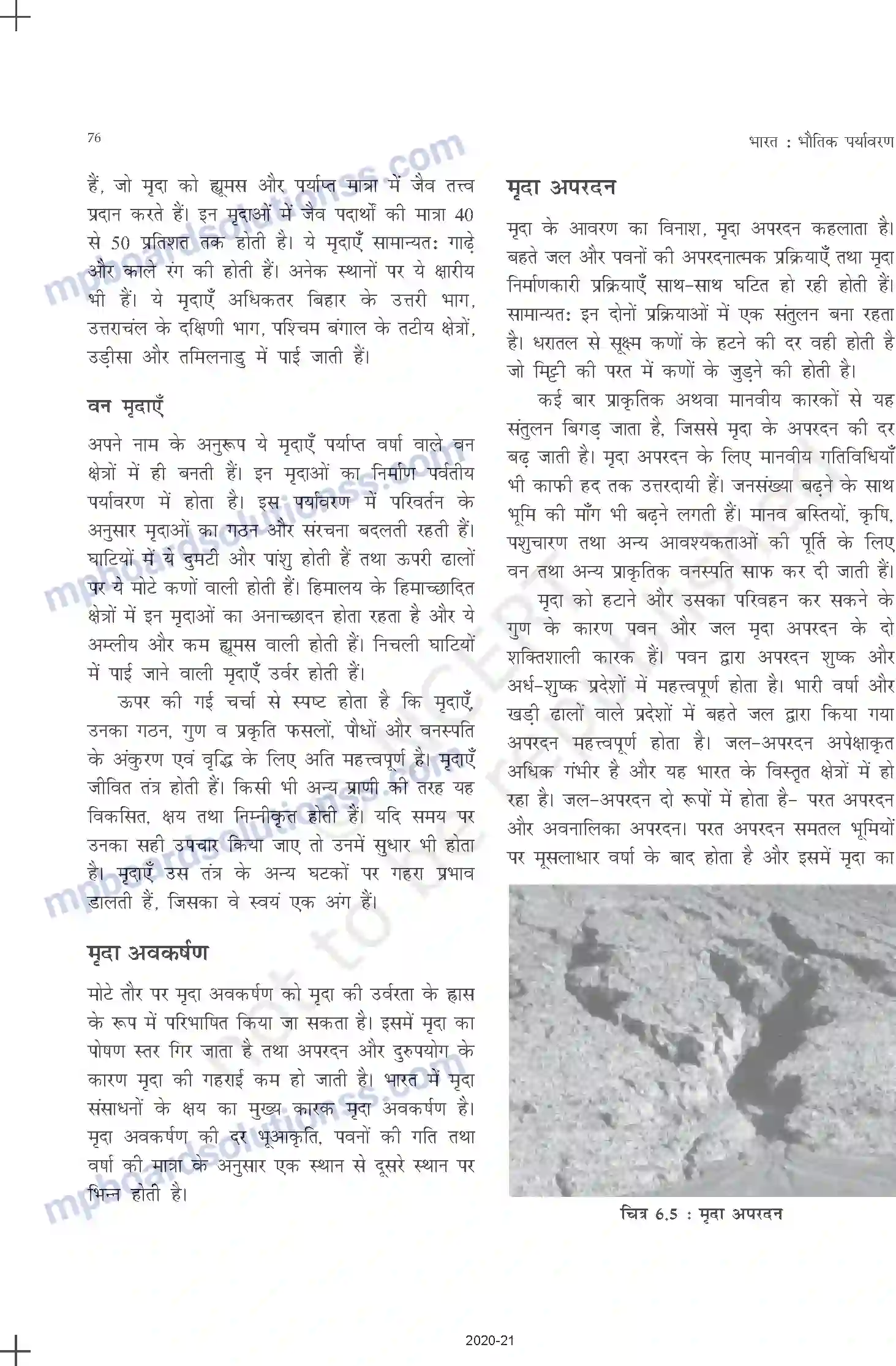 MP Board Book for Class 11 Geography मृदा Image 6