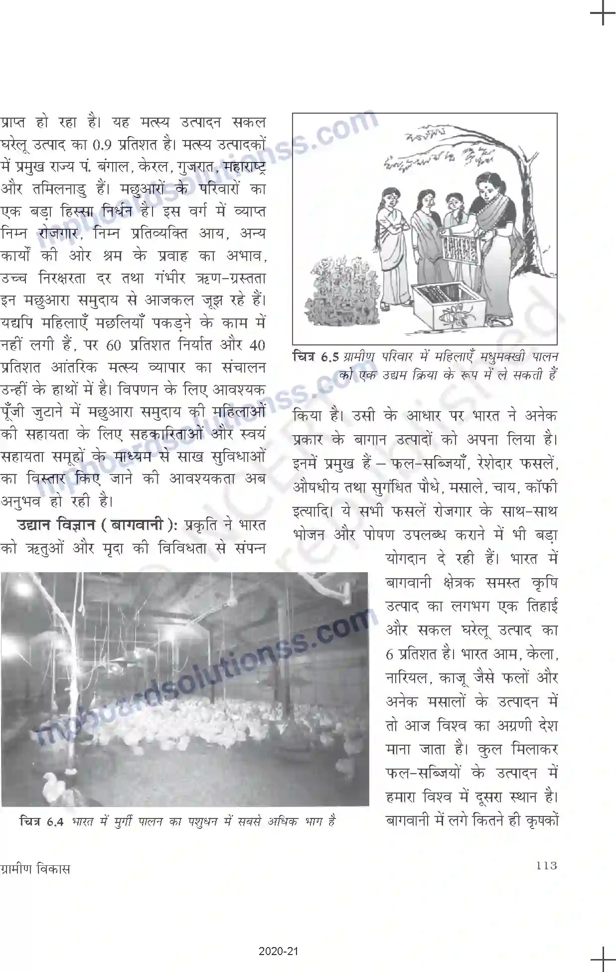 MP Board Book for Class 11 Economics ग्रामीण विकास Image 11
