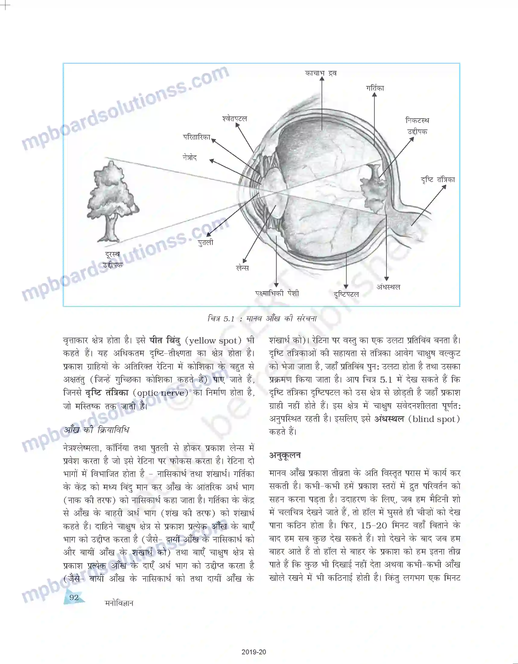 MP Board Book for Class 11 Psychology संवेदी, अवधानिक एवं प्रात्यक्षिक प्रक्रियाएँ Image 6