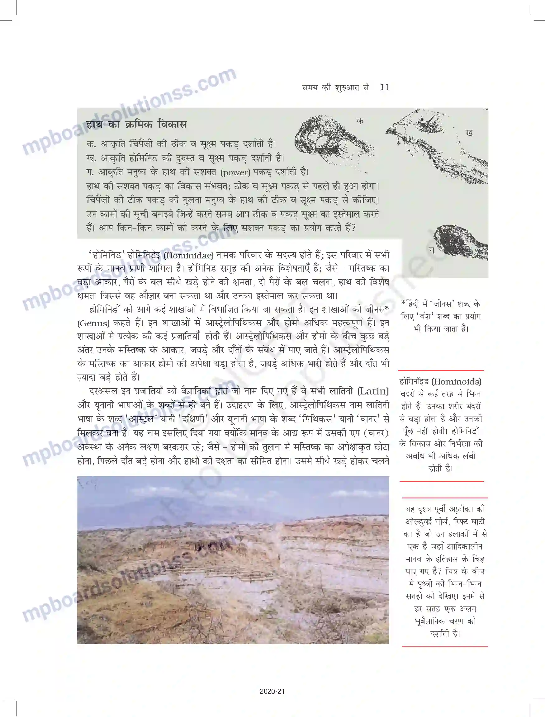 MP Board Book for Class 11 History समय की शुरुआत से Image 11