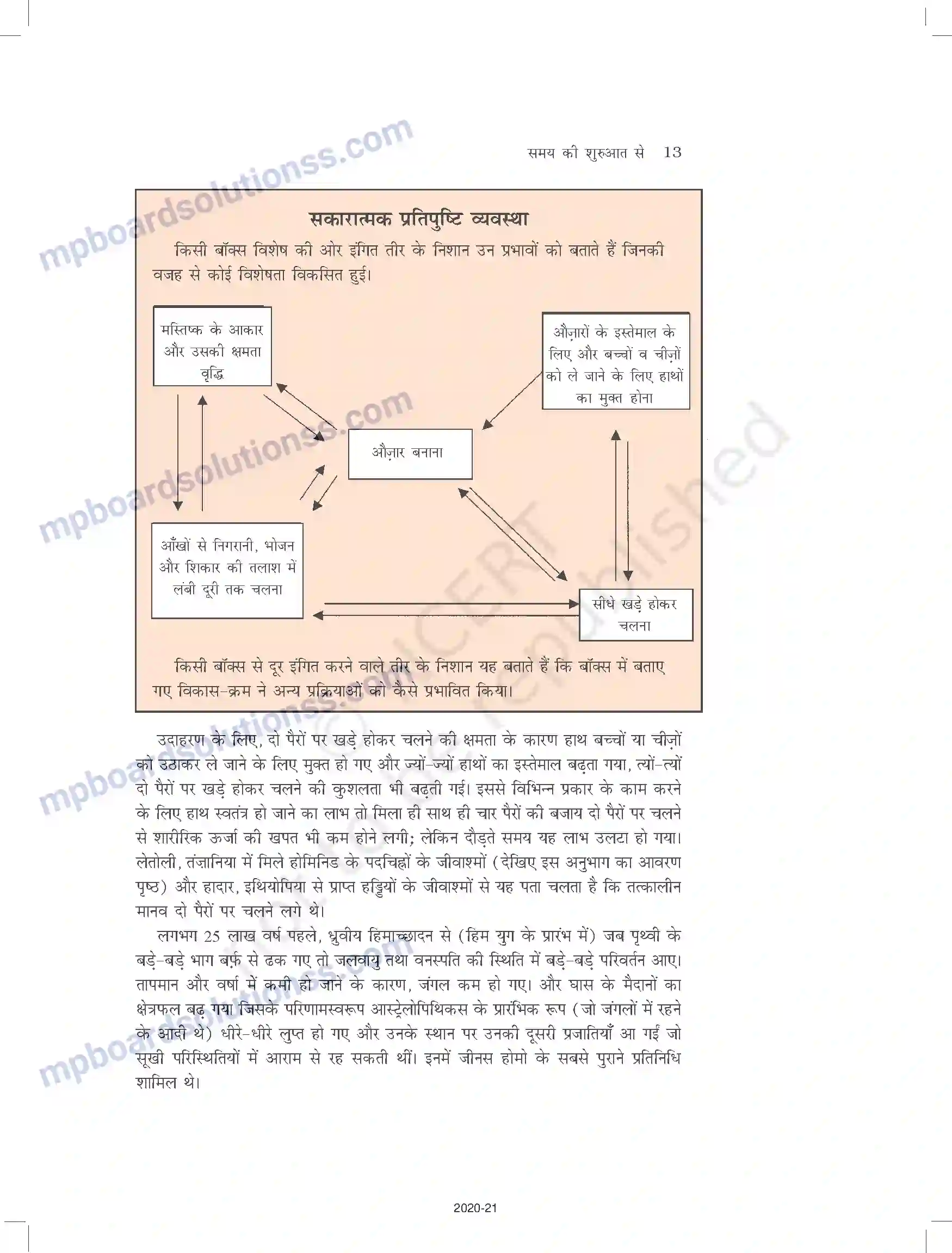 MP Board Book for Class 11 History समय की शुरुआत से Image 13
