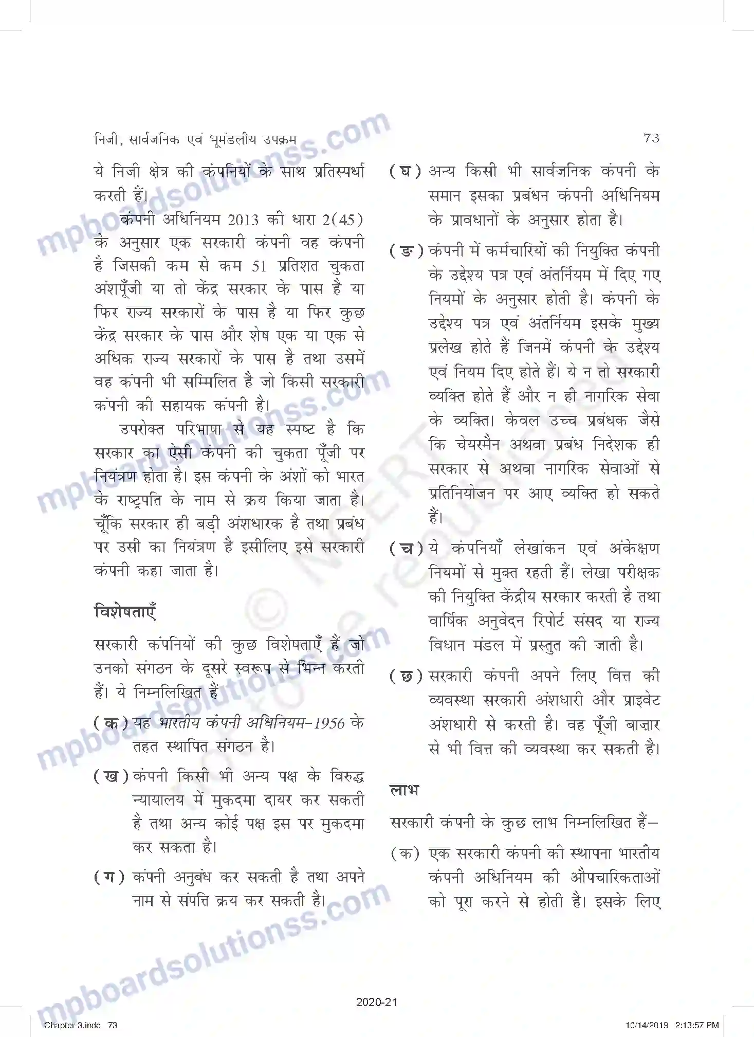 MP Board Book for Class 11 Business Studies निजी, सार्वजनिक एवं भूमंडलीय उपक्रम Image 8