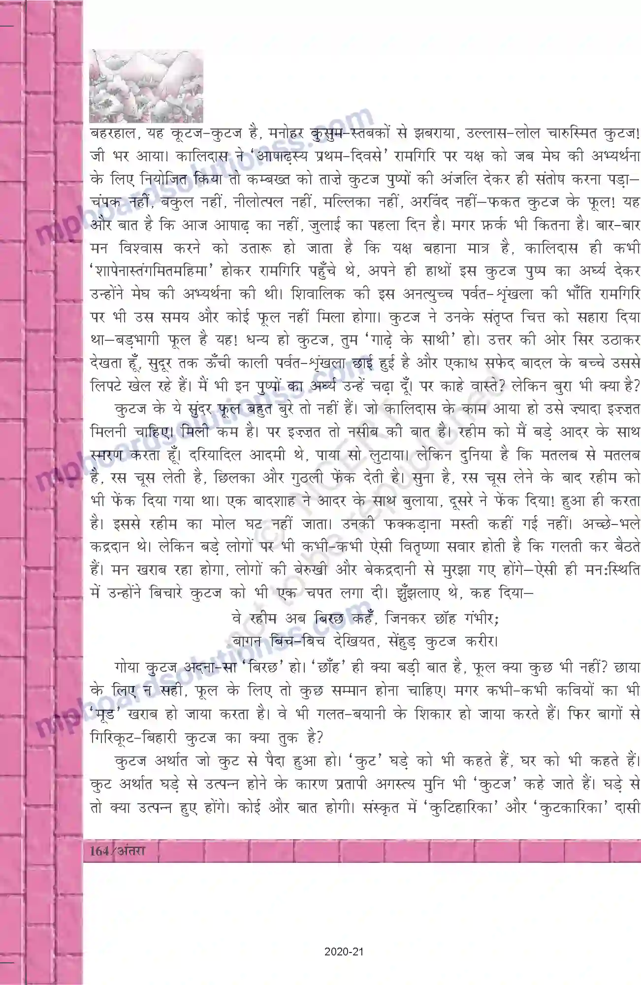 MP Board Book for Class 12 Hindi कुटज Image 5