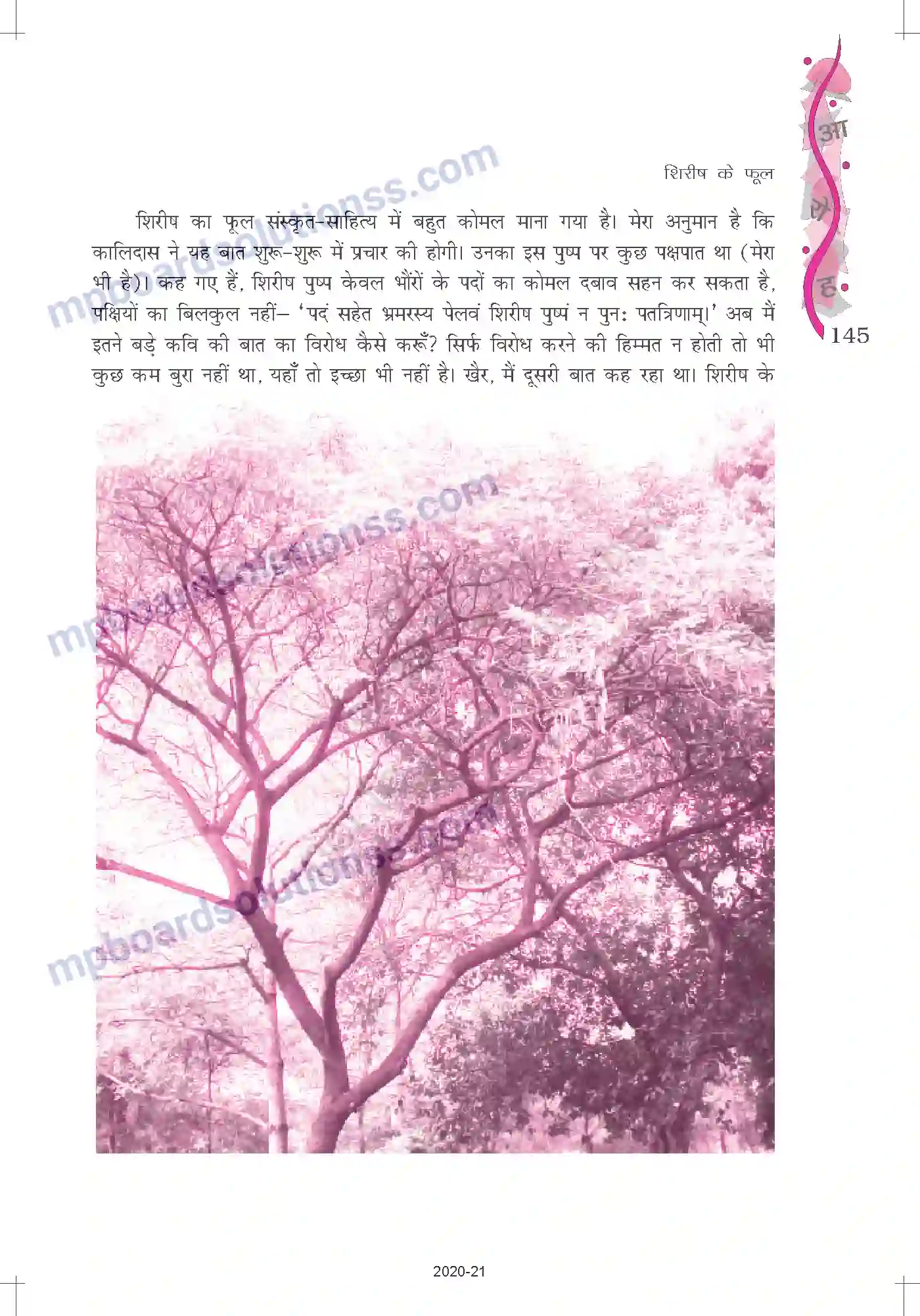 MP Board Book for Class 12 Hindi हजारी प्रसाद द्विवेदी Image 5