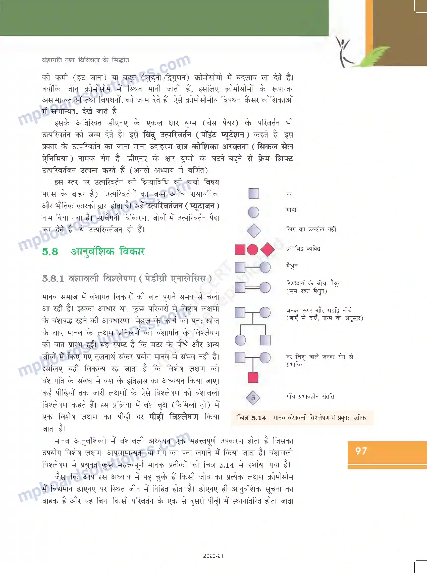 MP Board Book for Class 12 Biology वंशागति तथा विविधता के सिद्धांत Image 23