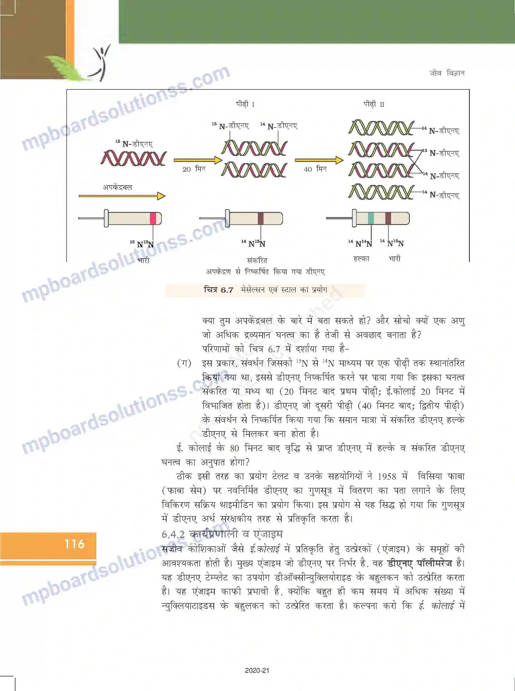 MP Board Book for Class 12 Biology वंशागति के आणविक आधार Image 12