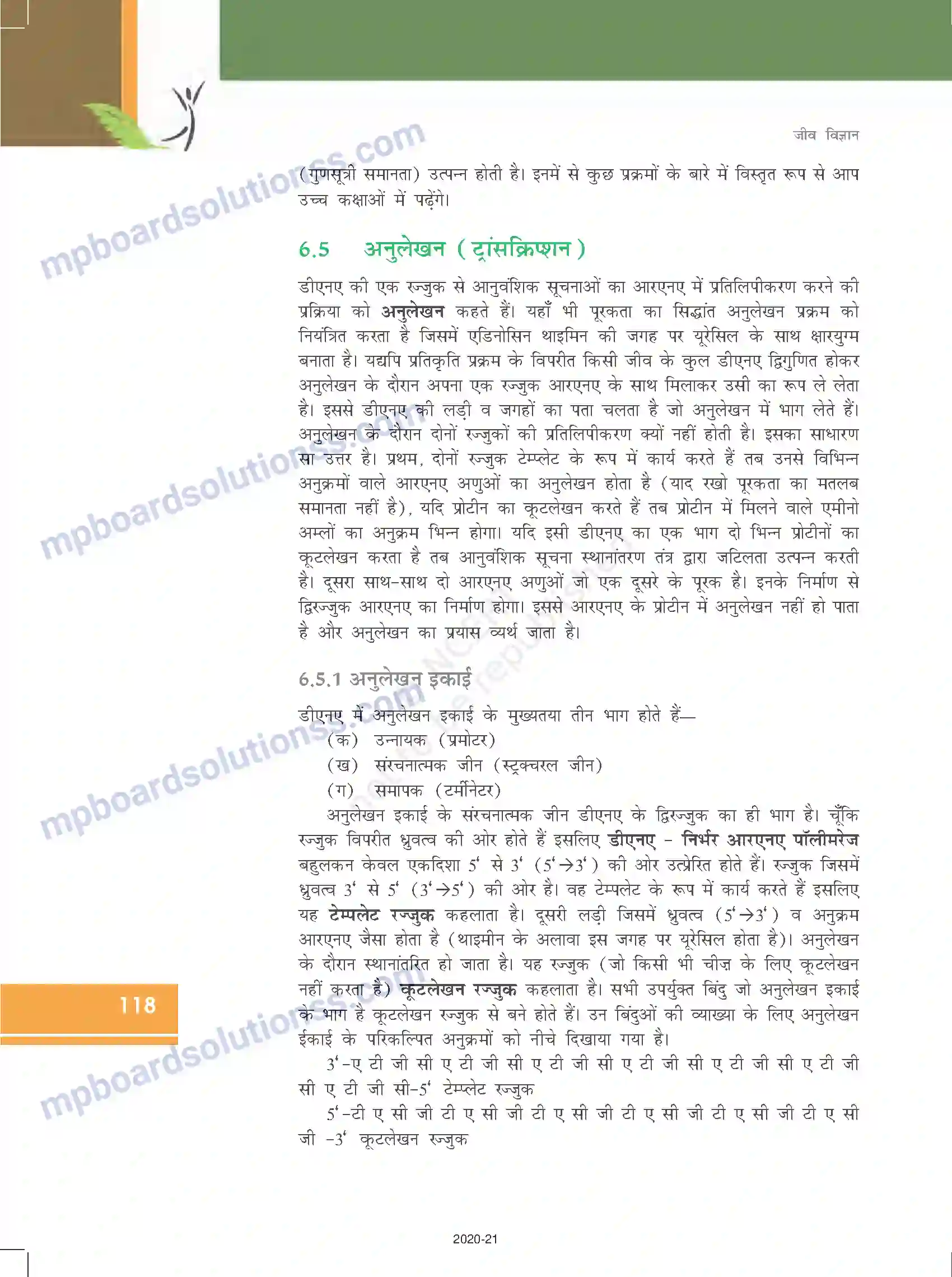 MP Board Book for Class 12 Biology वंशागति के आणविक आधार Image 14