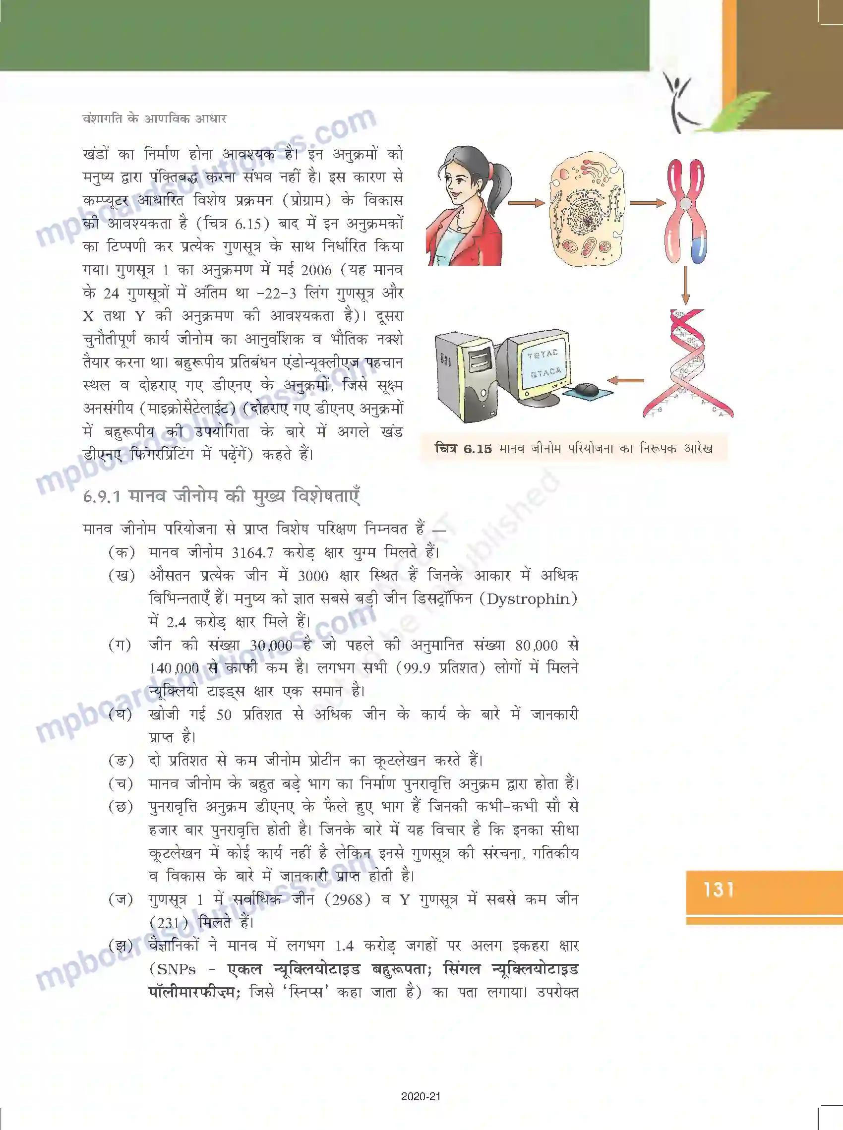 MP Board Book for Class 12 Biology वंशागति के आणविक आधार Image 27