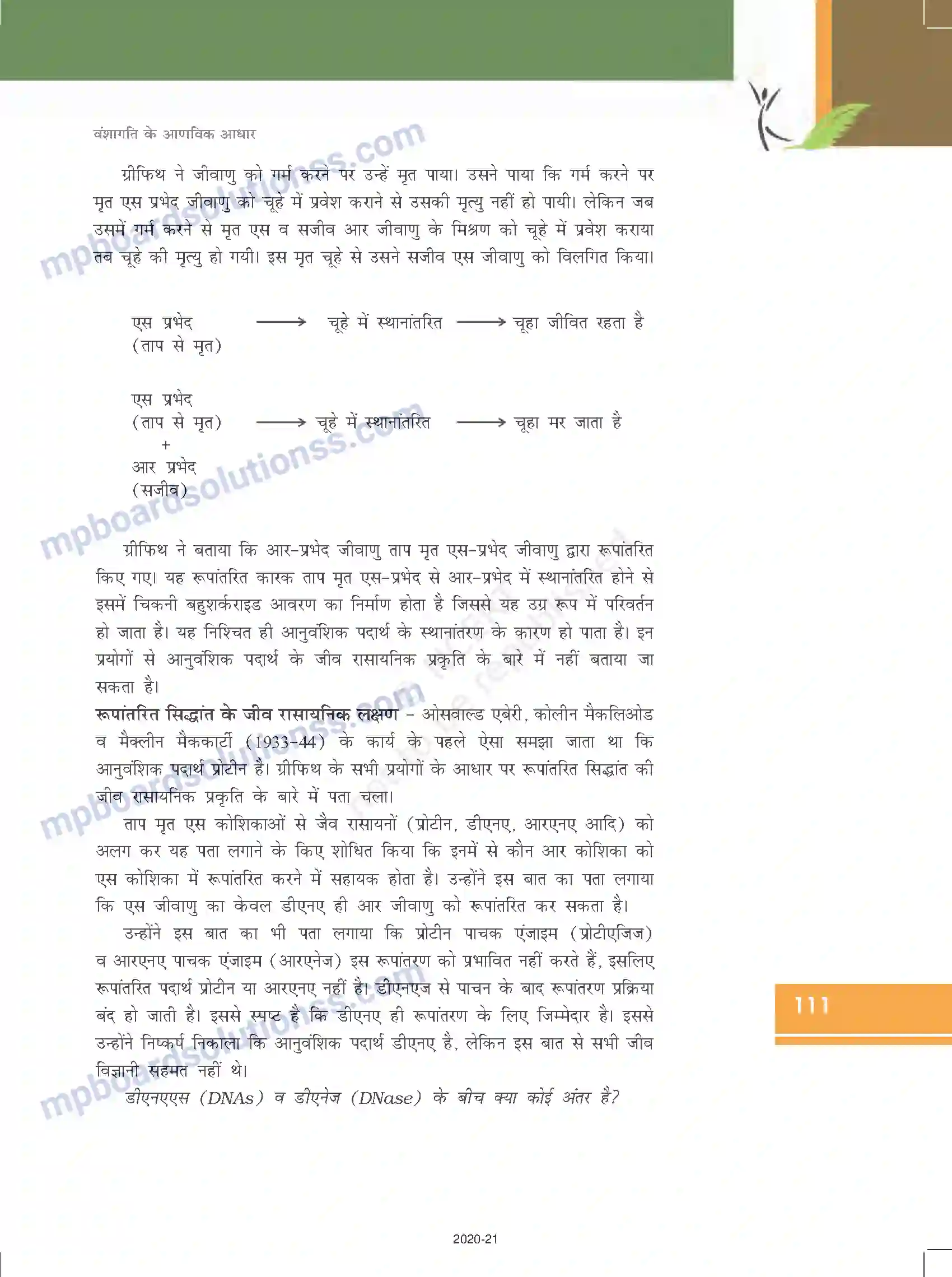 MP Board Book for Class 12 Biology वंशागति के आणविक आधार Image 7