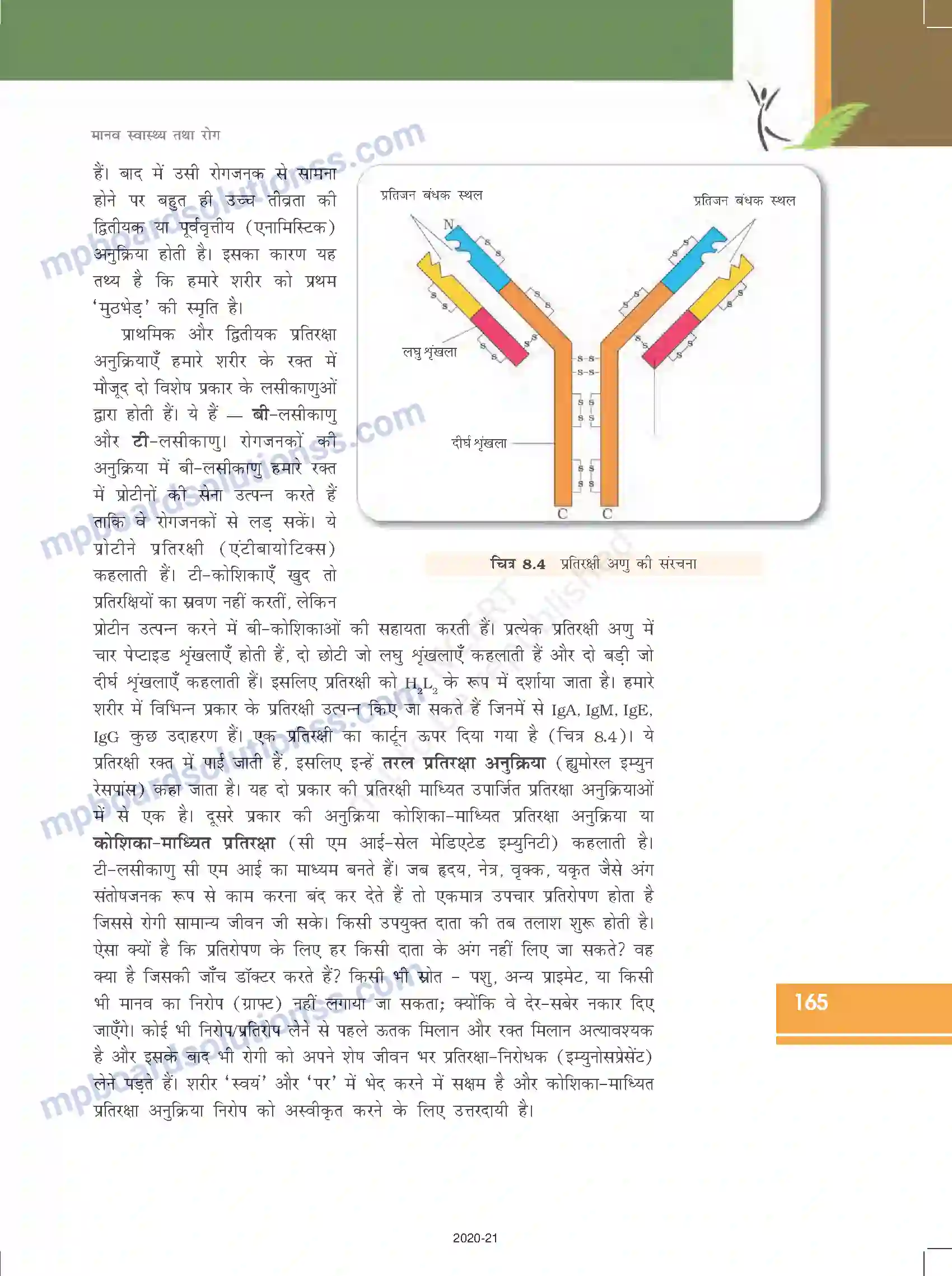 MP Board Book for Class 12 Biology मानव स्वास्थ्य तथा रोग Image 10