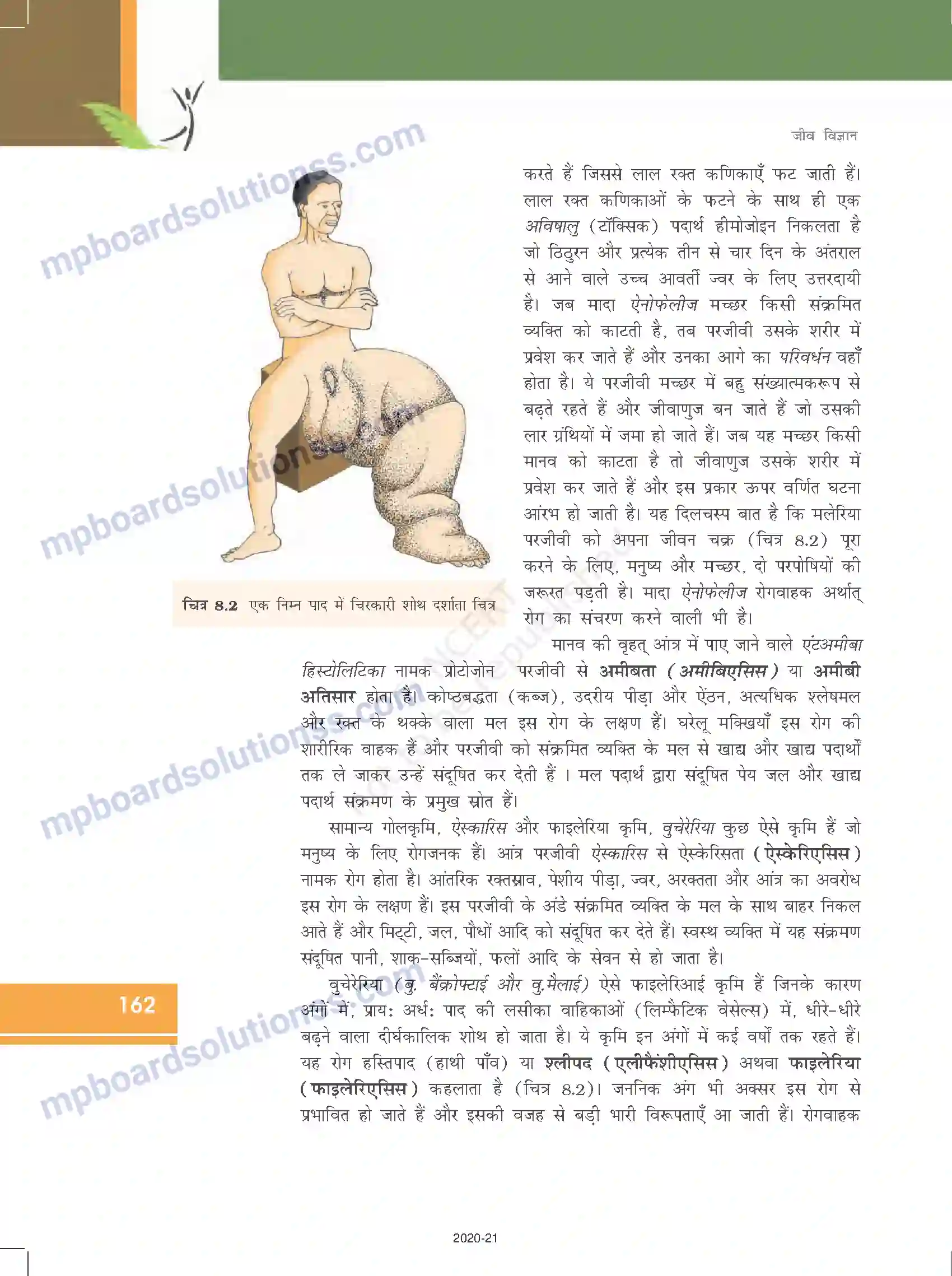 MP Board Book for Class 12 Biology मानव स्वास्थ्य तथा रोग Image 7