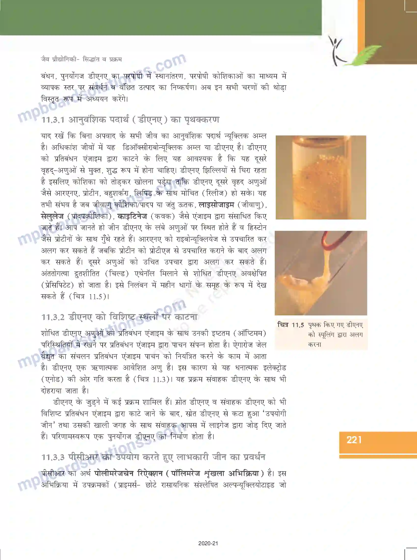 MP Board Book for Class 12 Biology जैव प्रौद्योगिकी-सिद्धांत व प्रक्रम Image 12