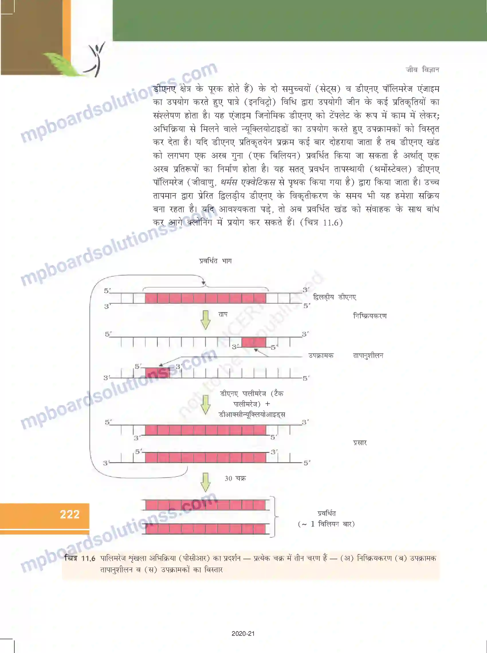MP Board Book for Class 12 Biology जैव प्रौद्योगिकी-सिद्धांत व प्रक्रम Image 13