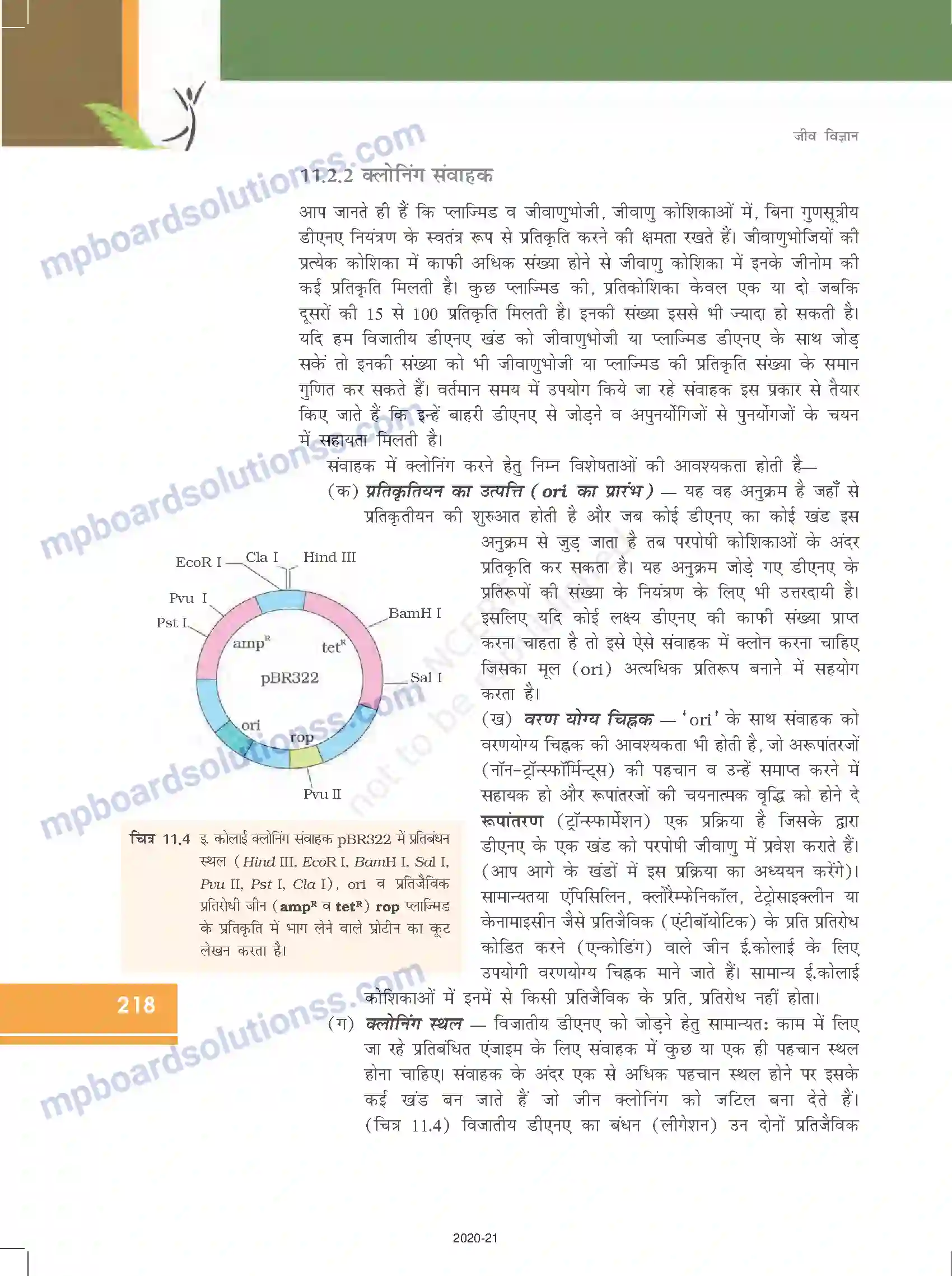 MP Board Book for Class 12 Biology जैव प्रौद्योगिकी-सिद्धांत व प्रक्रम Image 9