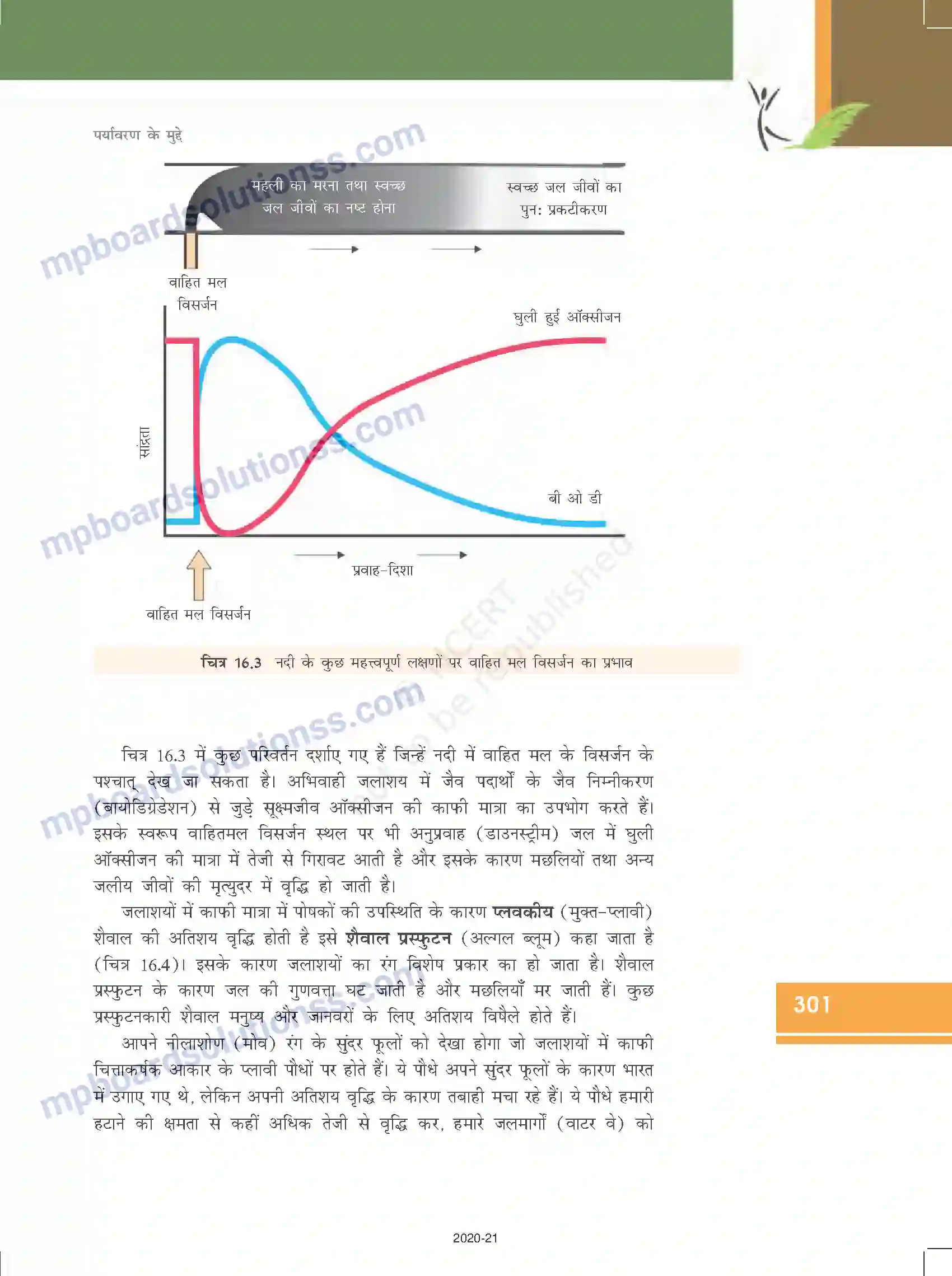 MP Board Book for Class 12 Biology पर्यावरण के मुद्दे Image 6