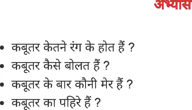 MP Board Book for Class 2 Hindi कबूतर Image 2