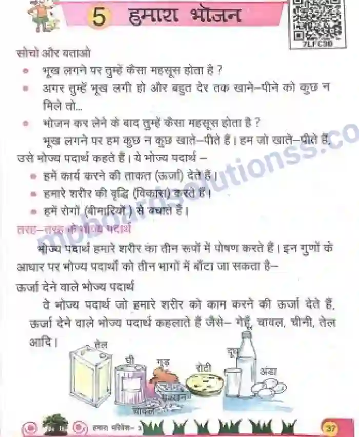 MP Board Book for Class 3 Environmental Studies हमारा भोजन Image 1