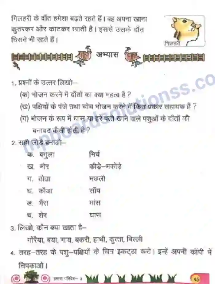 MP Board Book for Class 3 Environmental Studies पशु पक्षियों का भोजन एवं सहायक अंग Image 4
