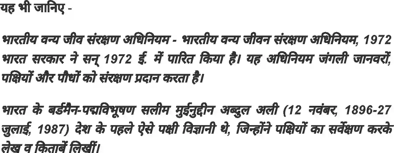 MP Board Book for Class 4 Hindi प्यासी मैना Image 7