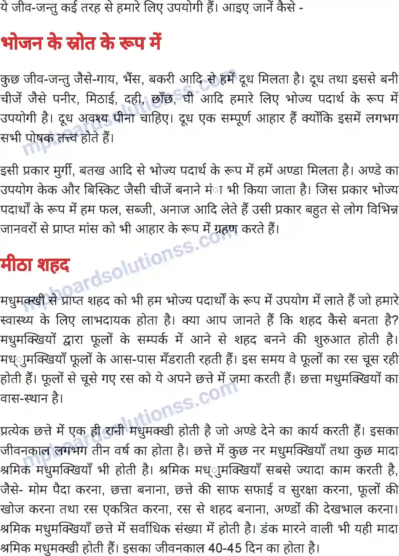 MP Board Book for Class 4 Environmental Studies जीव - जंतुओं की उपयोगिता Image 2