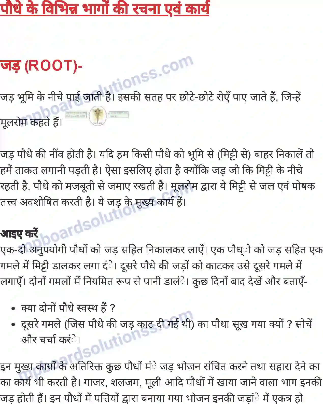 MP Board Book for Class 4 Environmental Studies पौधे के भाग एवं उनके कार्य Image 2