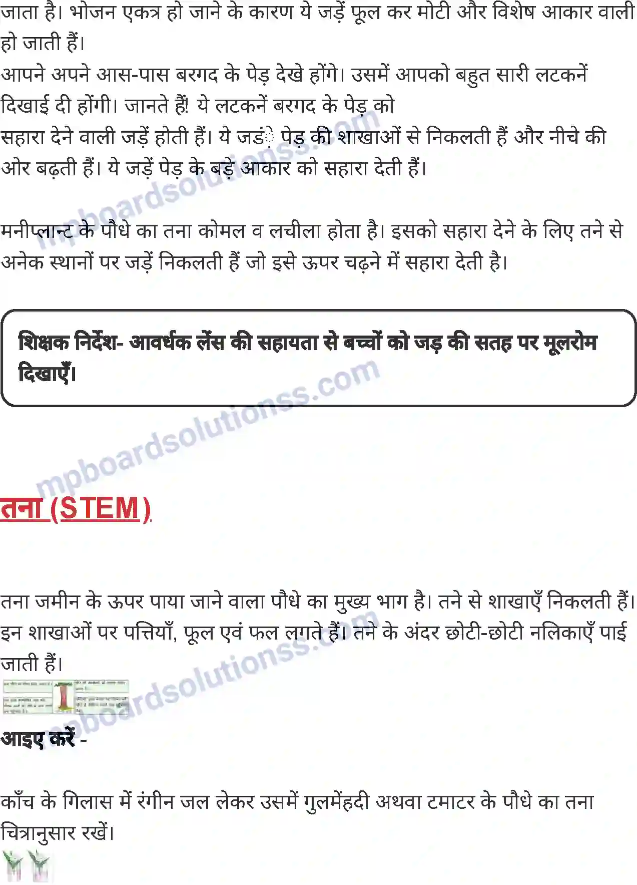 MP Board Book for Class 4 Environmental Studies पौधे के भाग एवं उनके कार्य Image 3