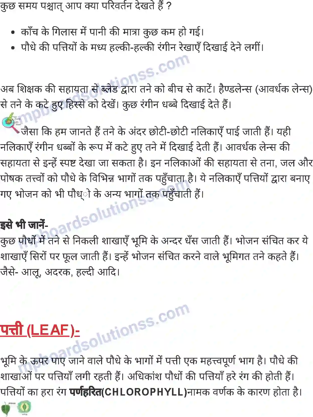 MP Board Book for Class 4 Environmental Studies पौधे के भाग एवं उनके कार्य Image 4