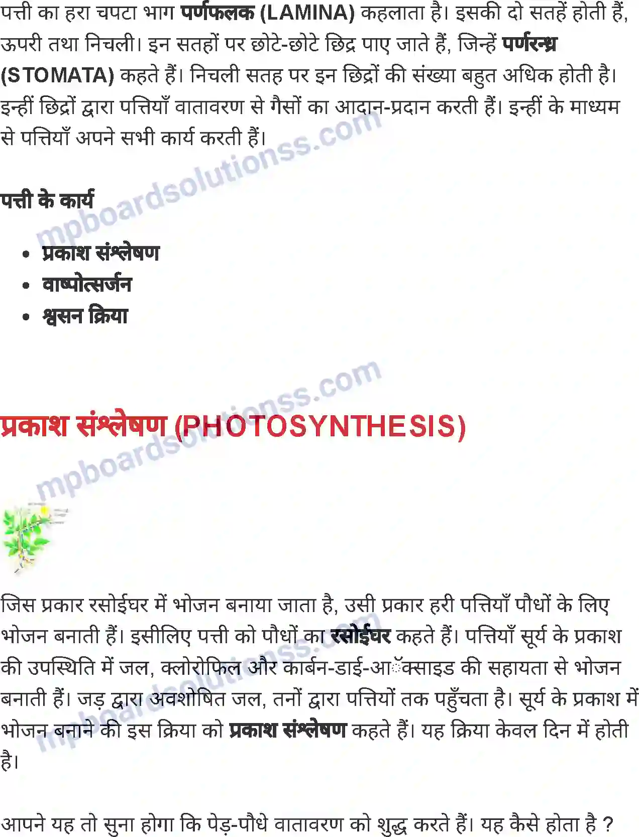 MP Board Book for Class 4 Environmental Studies पौधे के भाग एवं उनके कार्य Image 5