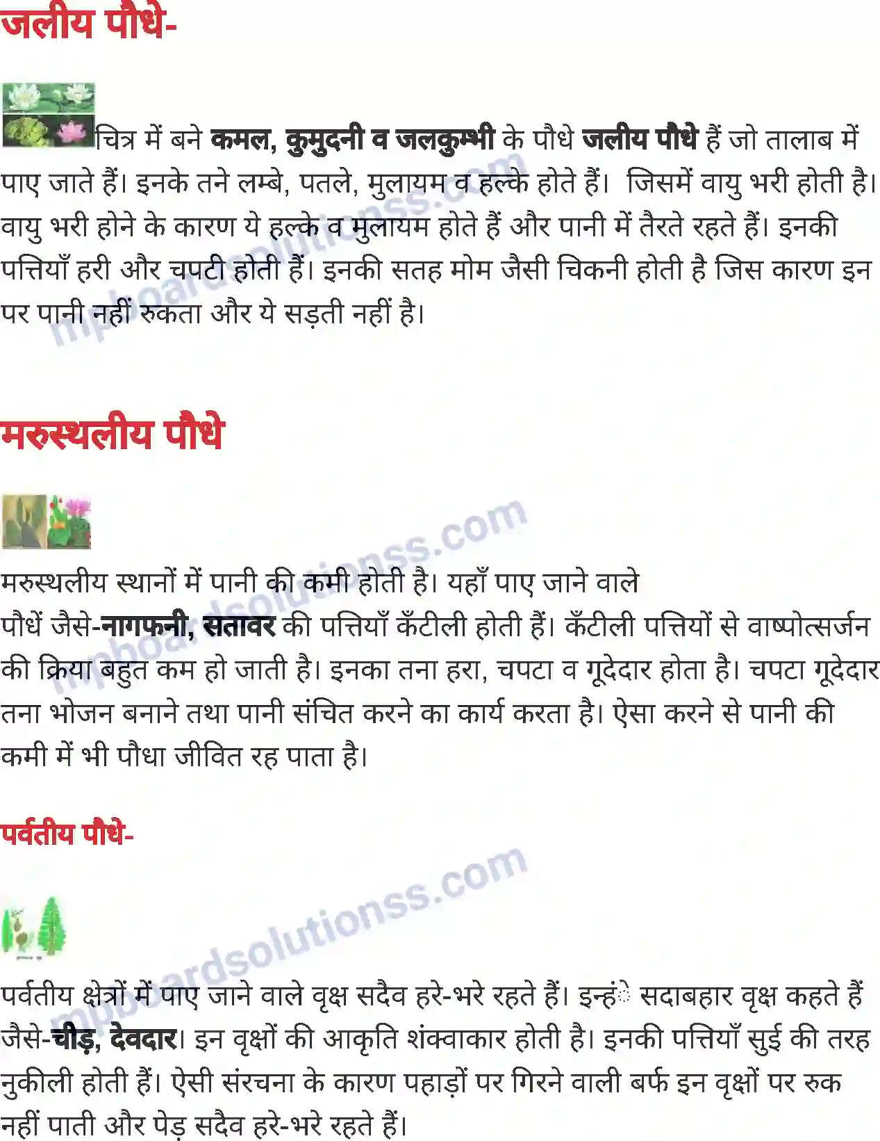 MP Board Book for Class 4 Environmental Studies पौधे के भाग एवं उनके कार्य Image 9