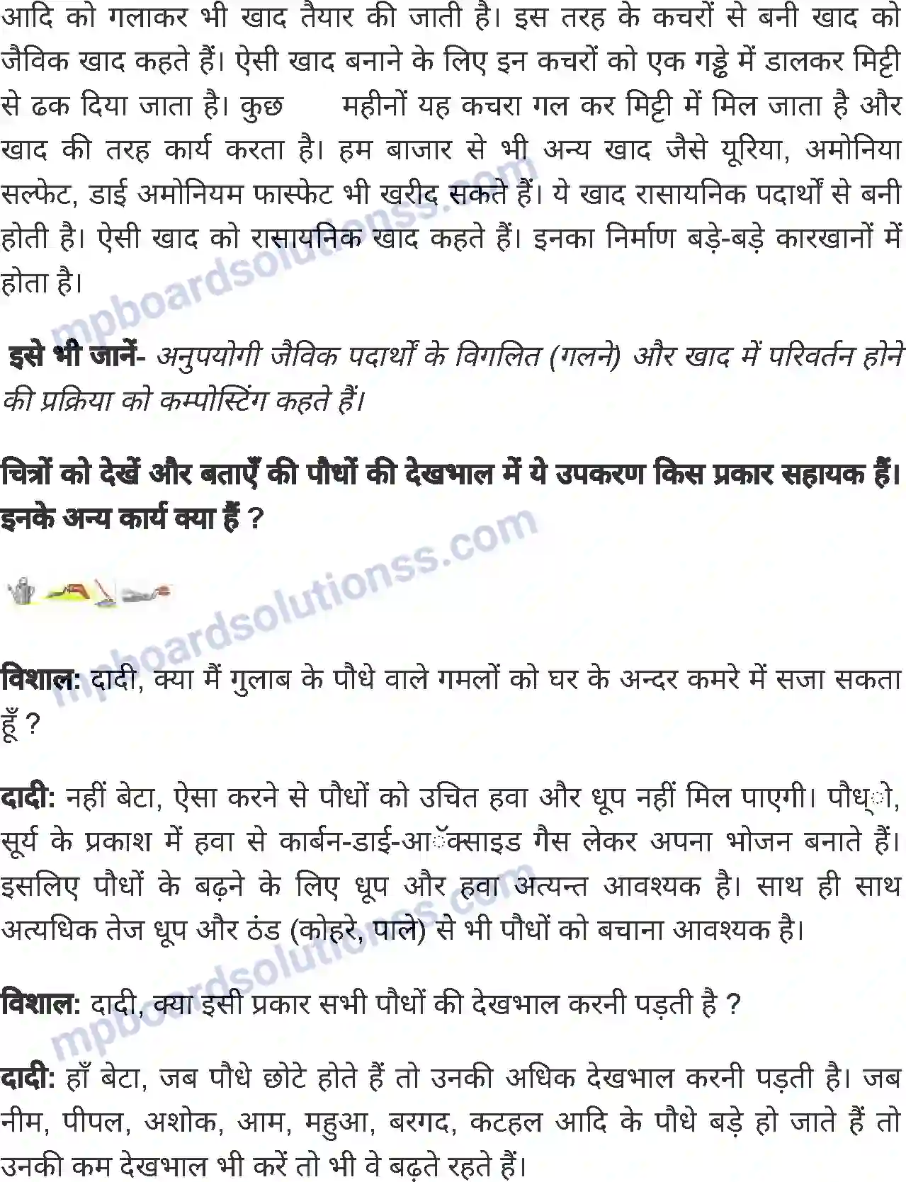 MP Board Book for Class 4 Environmental Studies दादी माँ की बगिया Image 3