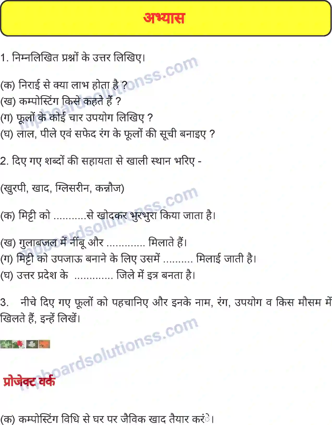 MP Board Book for Class 4 Environmental Studies दादी माँ की बगिया Image 6