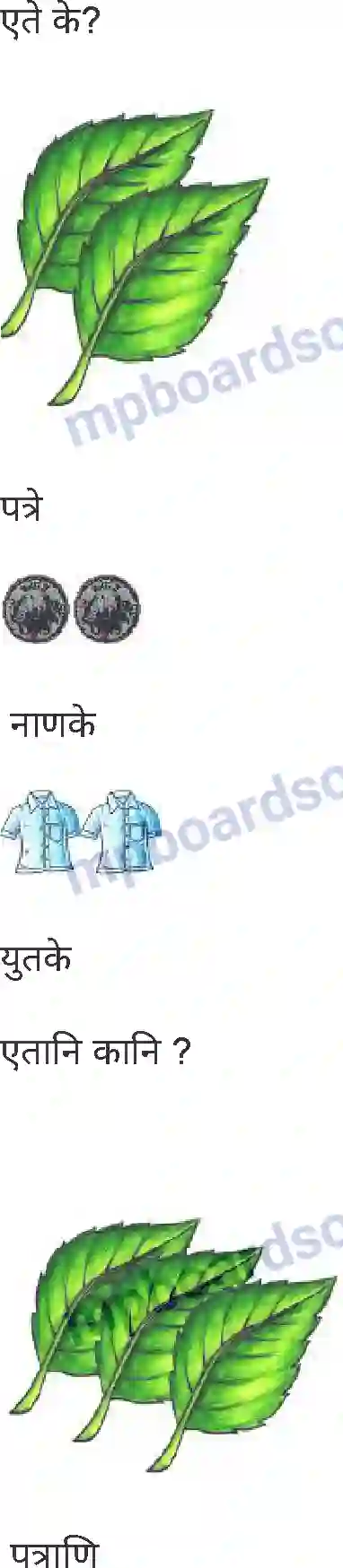 MP Board Book for Class 5 Sanskrit वाक्यबोधः (द्वितीयः) Image 4