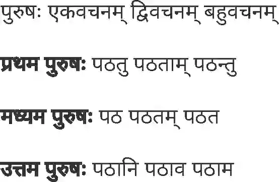 MP Board Book for Class 5 Sanskrit विंशतिः पाठः Image 24