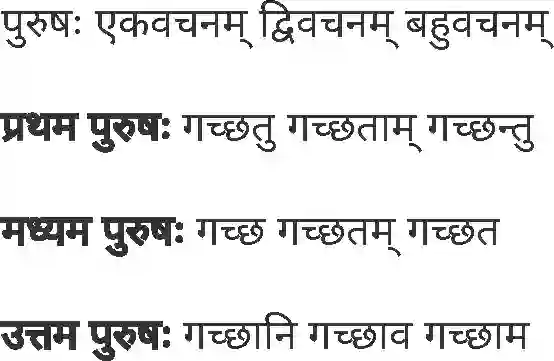 MP Board Book for Class 5 Sanskrit विंशतिः पाठः Image 26