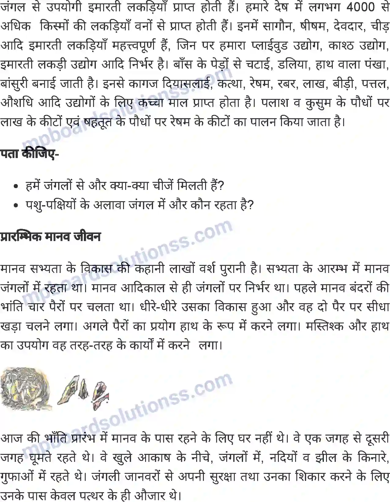 MP Board Book for Class 5 Environmental Studies जंगल और जन-जीवन Image 2