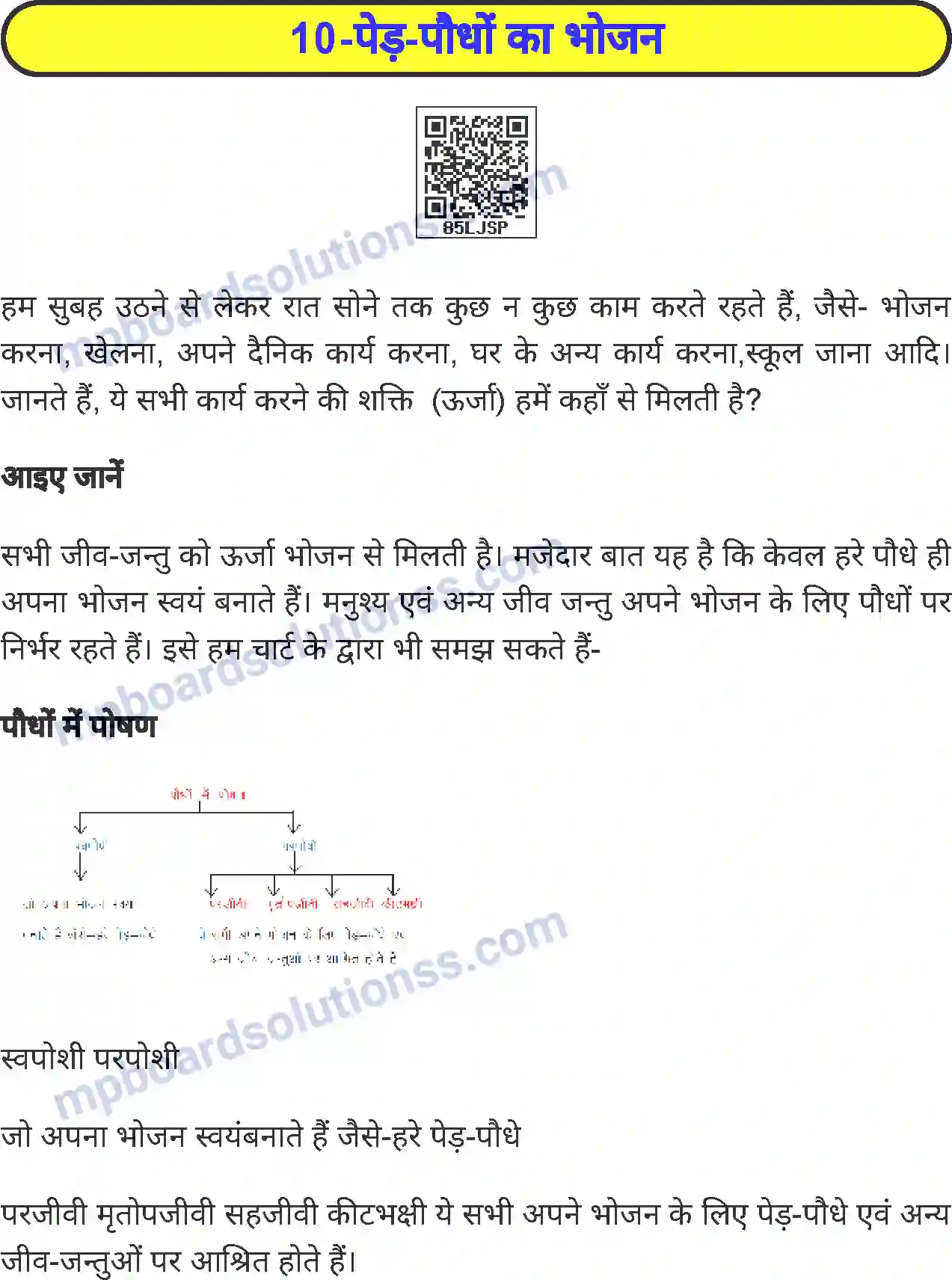 MP Board Book for Class 5 Environmental Studies पेड़-पौधों का भोजन Image 1