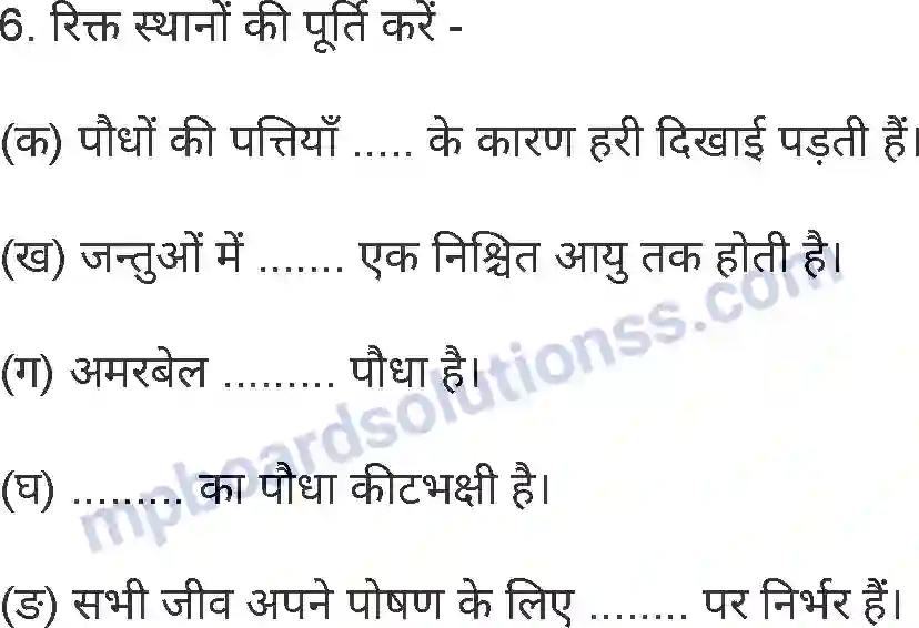 MP Board Book for Class 5 Environmental Studies पेड़-पौधों का भोजन Image 11
