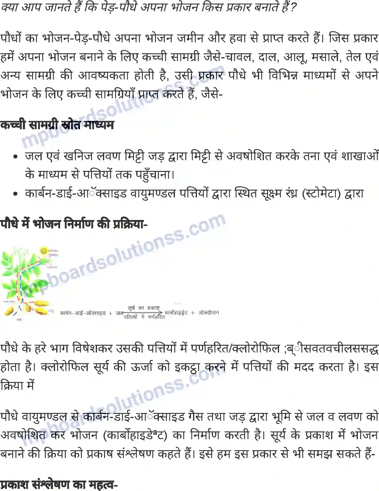 MP Board Book for Class 5 Environmental Studies पेड़-पौधों का भोजन Image 2