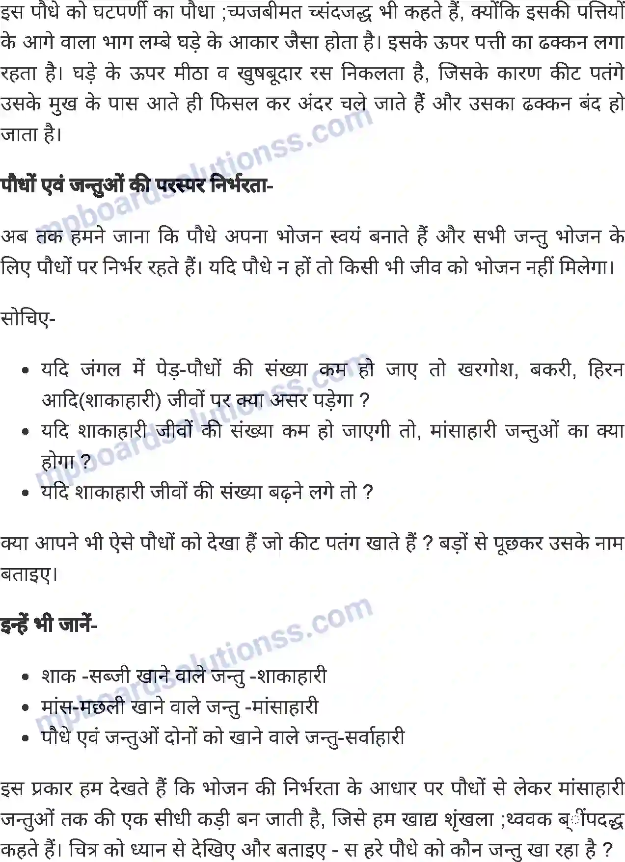 MP Board Book for Class 5 Environmental Studies पेड़-पौधों का भोजन Image 5
