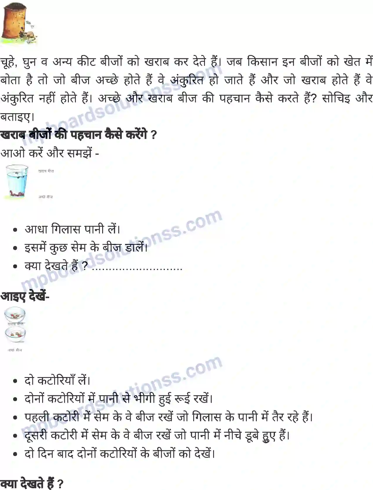 MP Board Book for Class 5 Environmental Studies बीज ही बीज Image 2