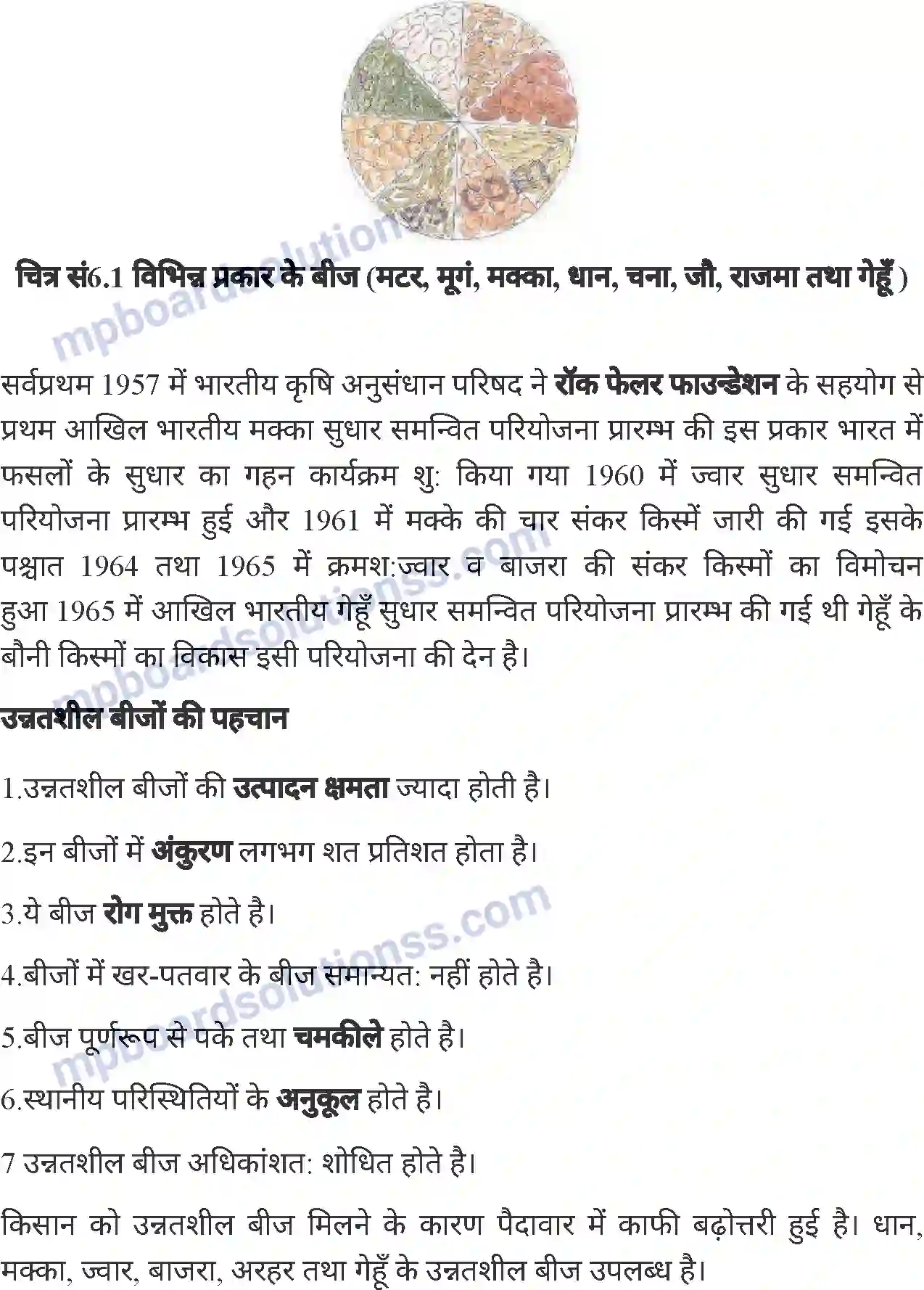 MP Board Book for Class 6 Agriculture बीज Image 3