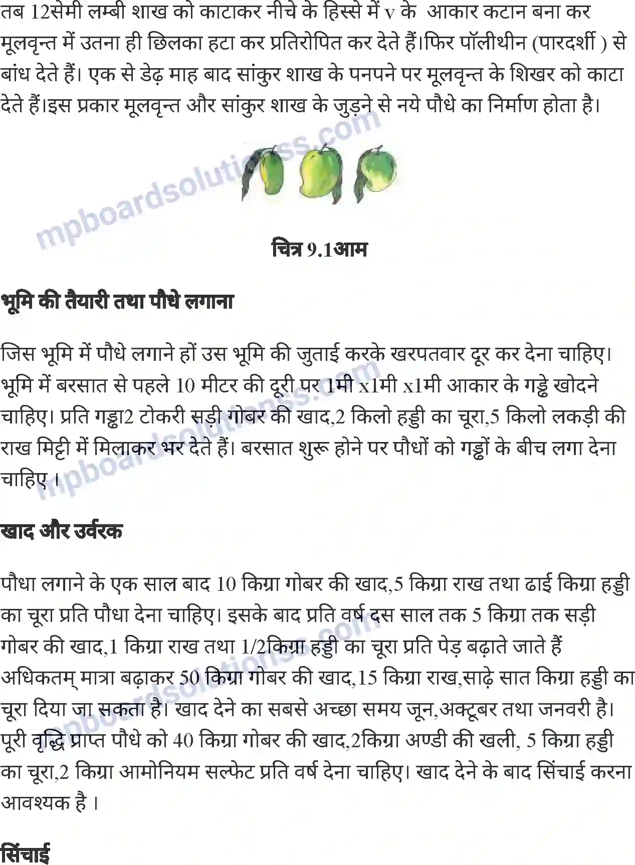 MP Board Book for Class 6 Agriculture फलों की खेती Image 3