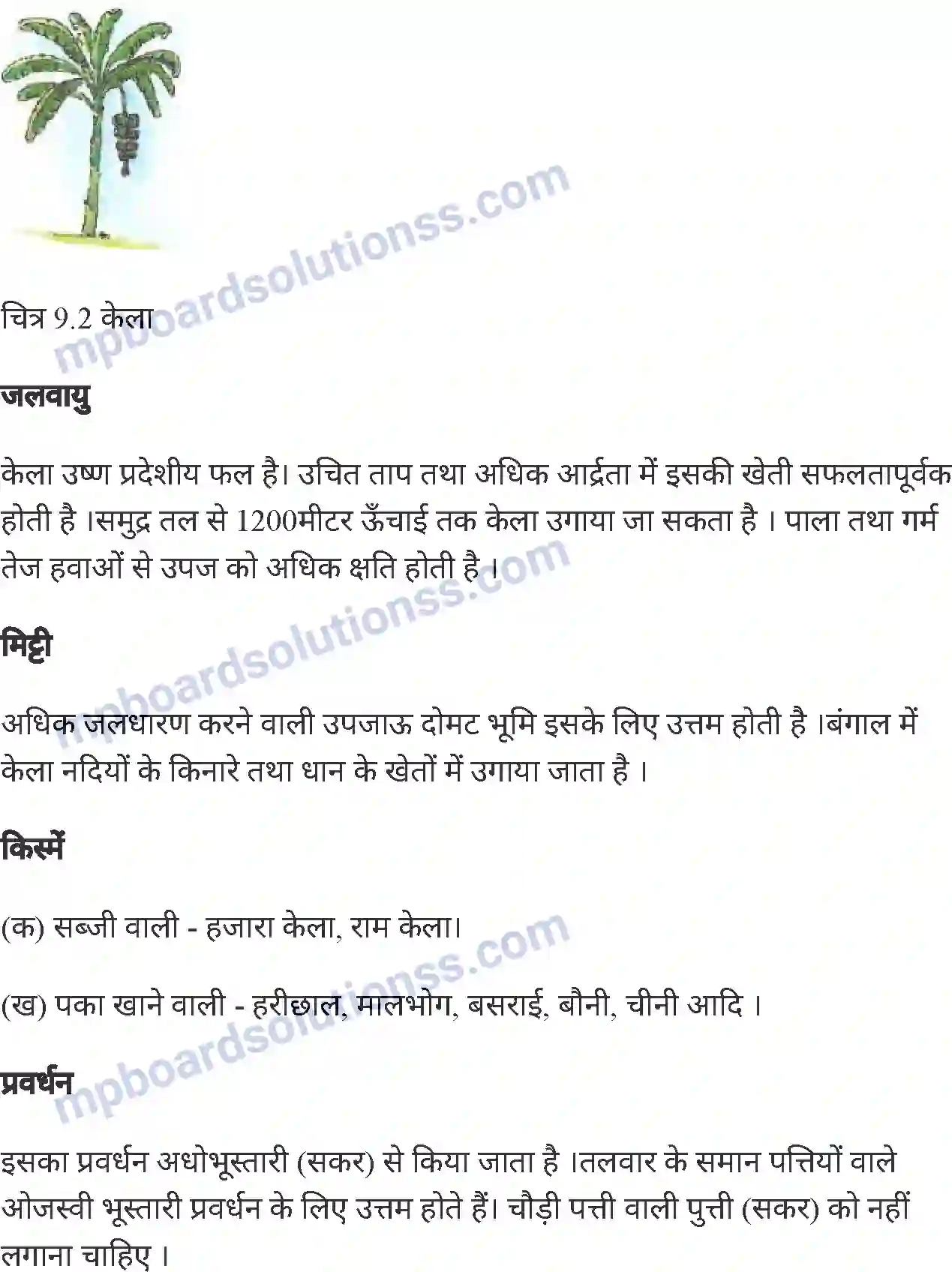 MP Board Book for Class 6 Agriculture फलों की खेती Image 5