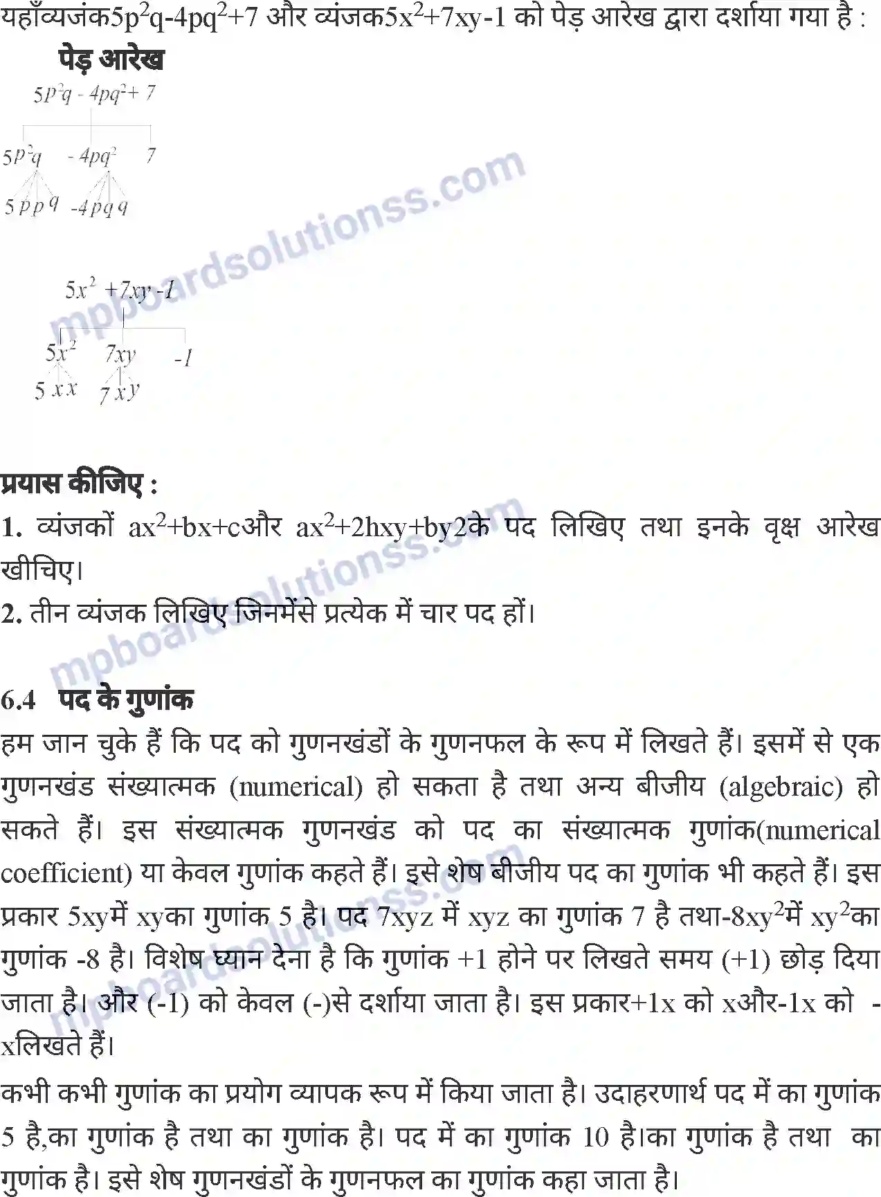 MP Board Book for Class 6 Mathematics बीजीय व्यंजक Image 4