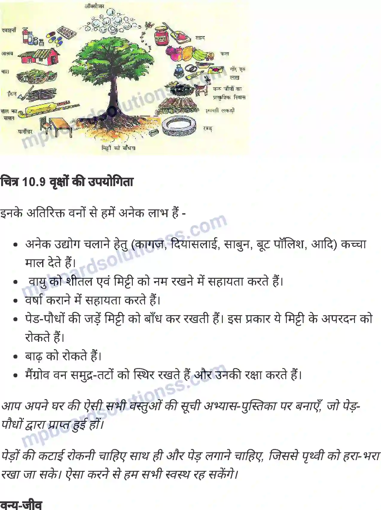 MP Board Book for Class 6 Social Science भारत मृदा, वनस्पति एवं वन्य-जीव Image 10