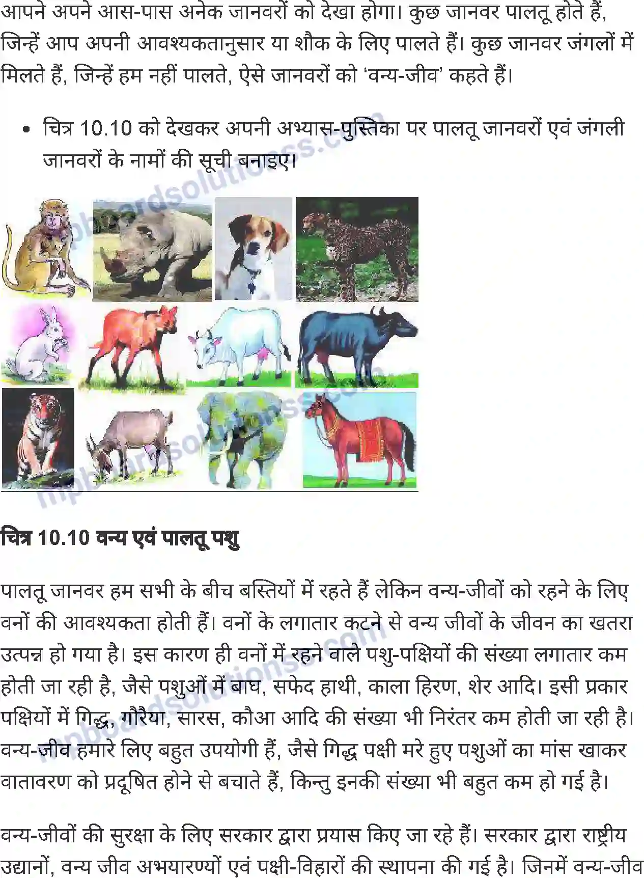 MP Board Book for Class 6 Social Science भारत मृदा, वनस्पति एवं वन्य-जीव Image 11