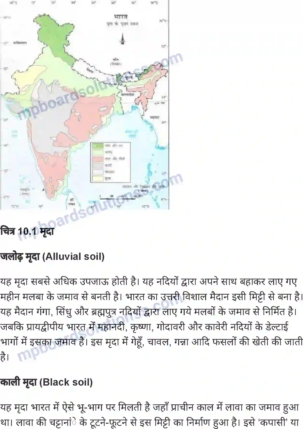 MP Board Book for Class 6 Social Science भारत मृदा, वनस्पति एवं वन्य-जीव Image 2