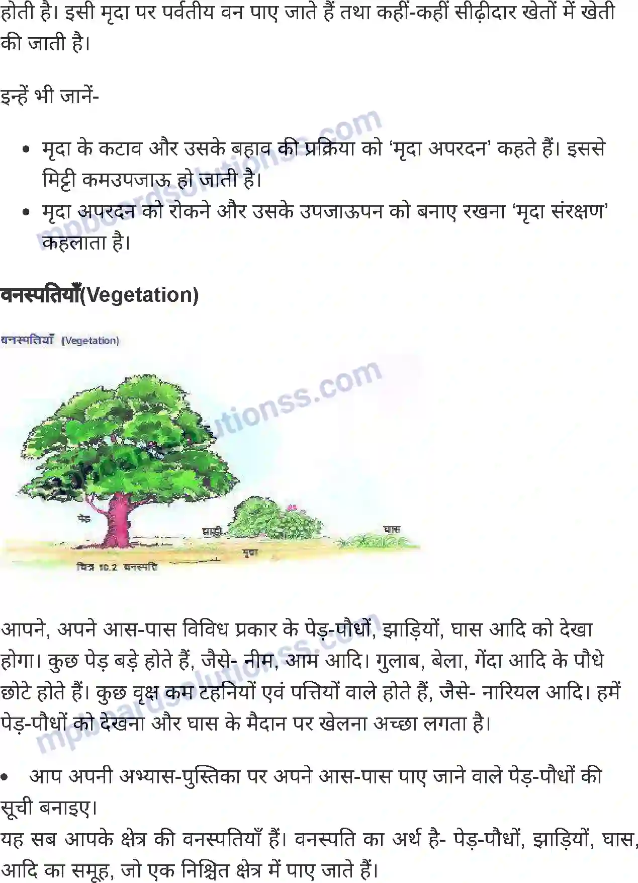 MP Board Book for Class 6 Social Science भारत मृदा, वनस्पति एवं वन्य-जीव Image 4